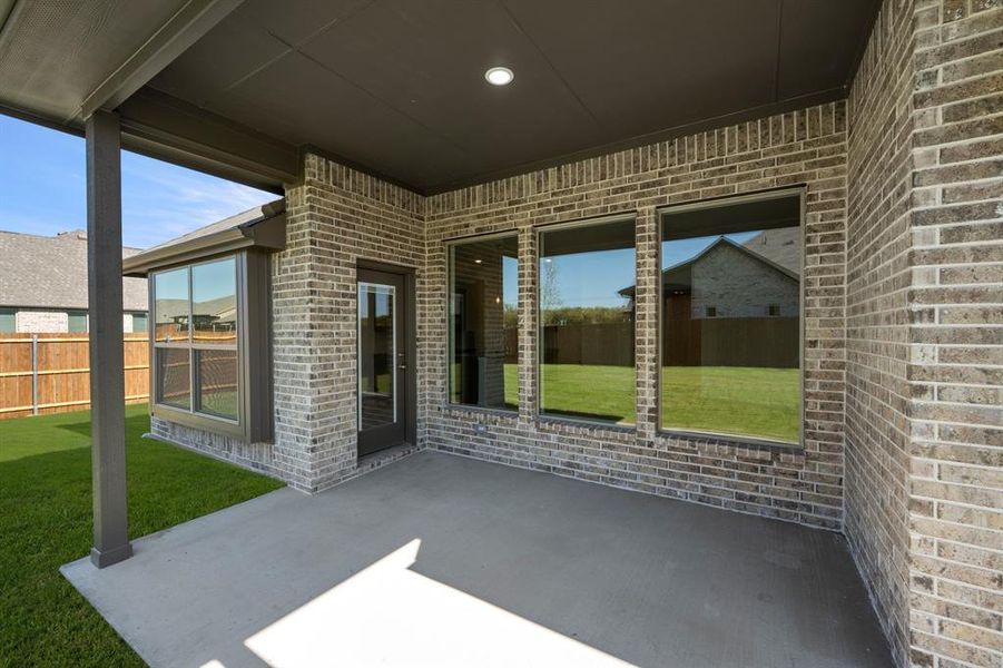 10352 Tapioca- Back-3