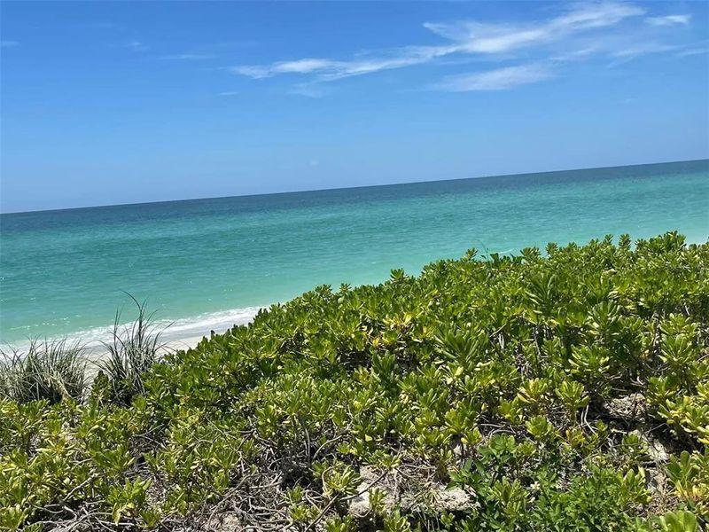 Natural landscape and outdoor views near Island Lakes at Coco Bay in Englewood (Image 19).