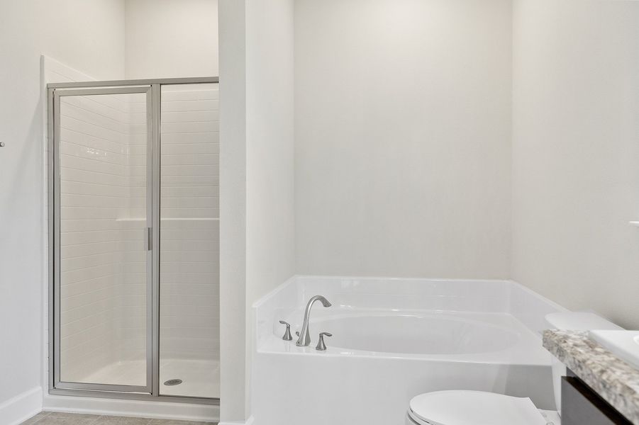 Image 35 representing the 2705 by Adams Homes in Winding Oaks, Weeki Wachee, FL.