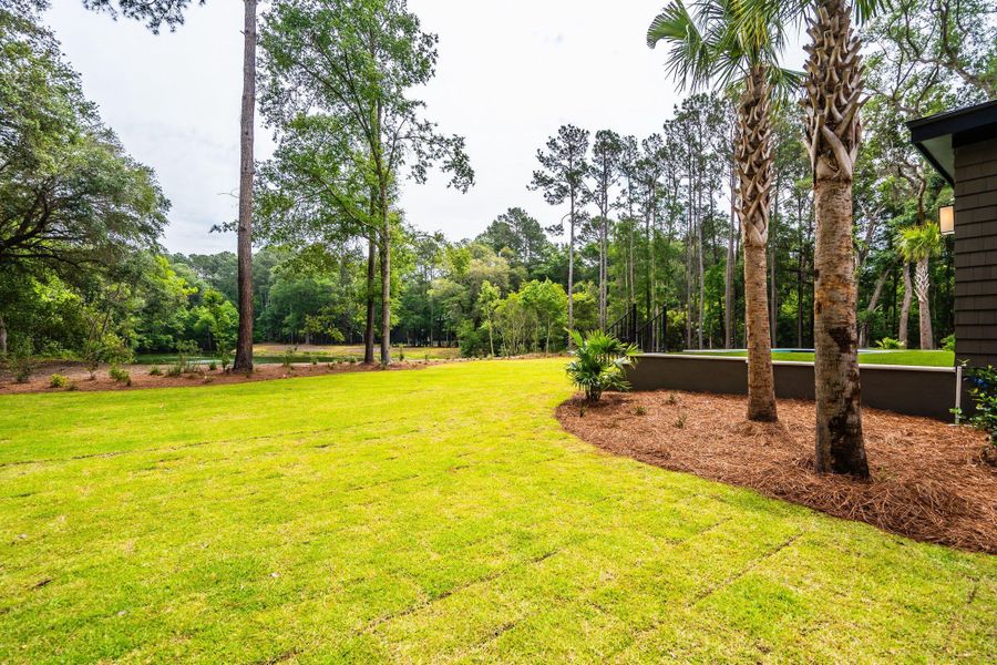 Natural landscape and outdoor views near  in Johns Island (Image 123).