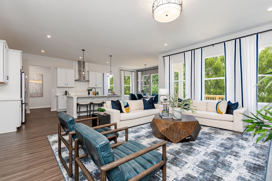 Family Room and Kitchen