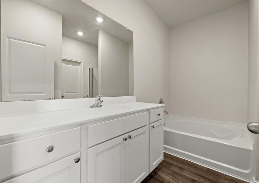 Master bathroom with step-in shower Master bathroom with step-in shower