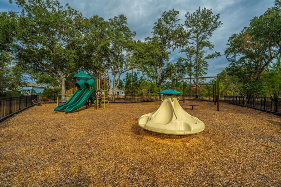 Community amenities in Sea Island Preserve, Johns Island (Image 80).