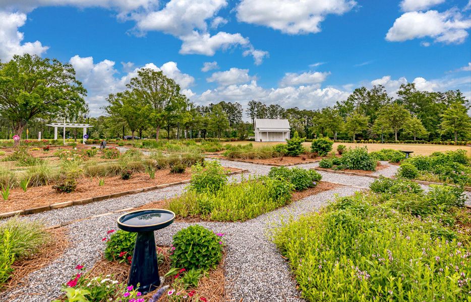 Image 70 of a home in Sweetgrass at Summers Corner.