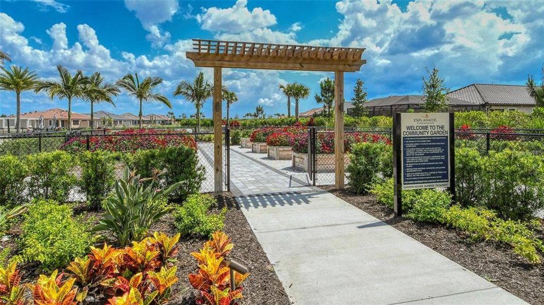 Community amenities in Esplanade at Azario Lakewood Ranch, Bradenton (Image 40).
