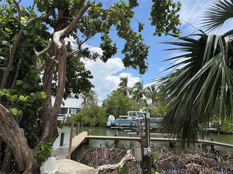 Natural landscape and outdoor views near  in Sarasota (Image 29).
