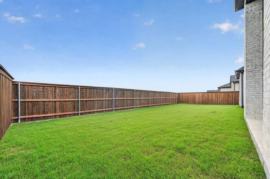 Backyard Backyard