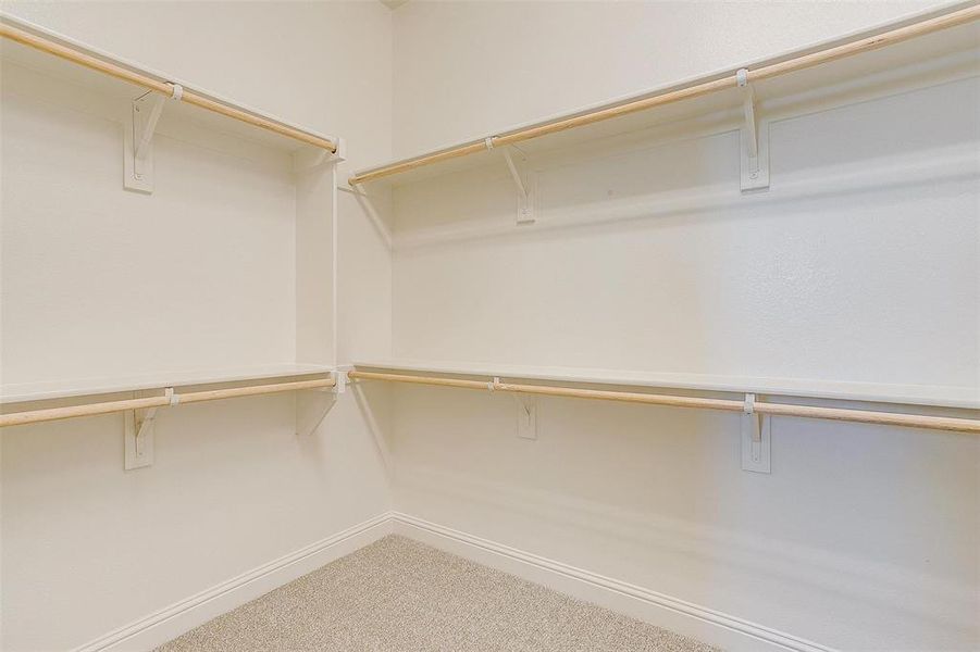 Walk in closet featuring carpet floors