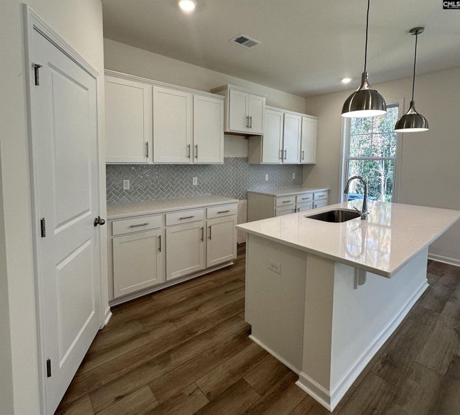 Furnished interior view inside a new home in Boykin Hills, Chapin (Image 2).