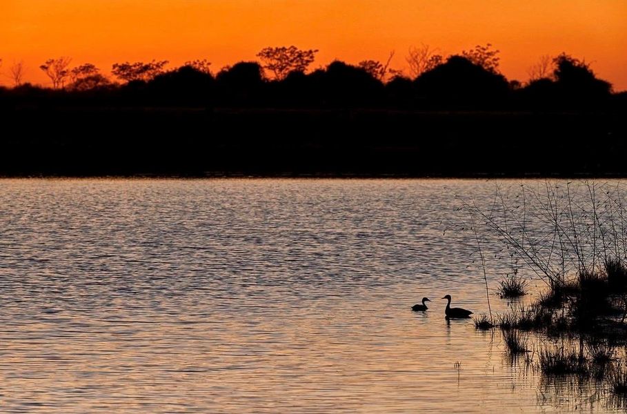 Natural landscape and outdoor views near The Grand Prairie 60’s in Hockley (Image 24).