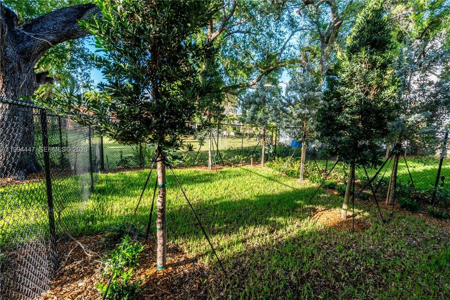 Natural landscape and outdoor views near  in Miami (Image 35).