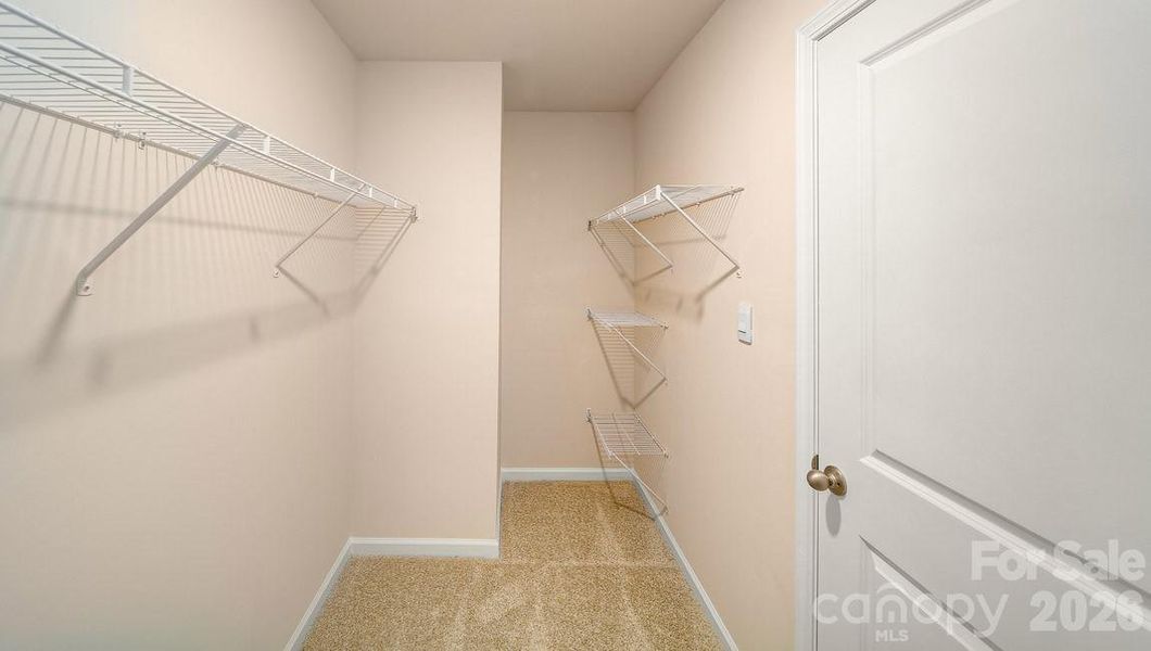 Photos are representative