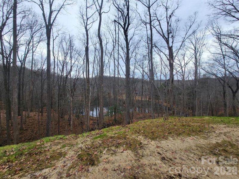 Natural landscape and outdoor views near  in Travelers Rest (Image 31).