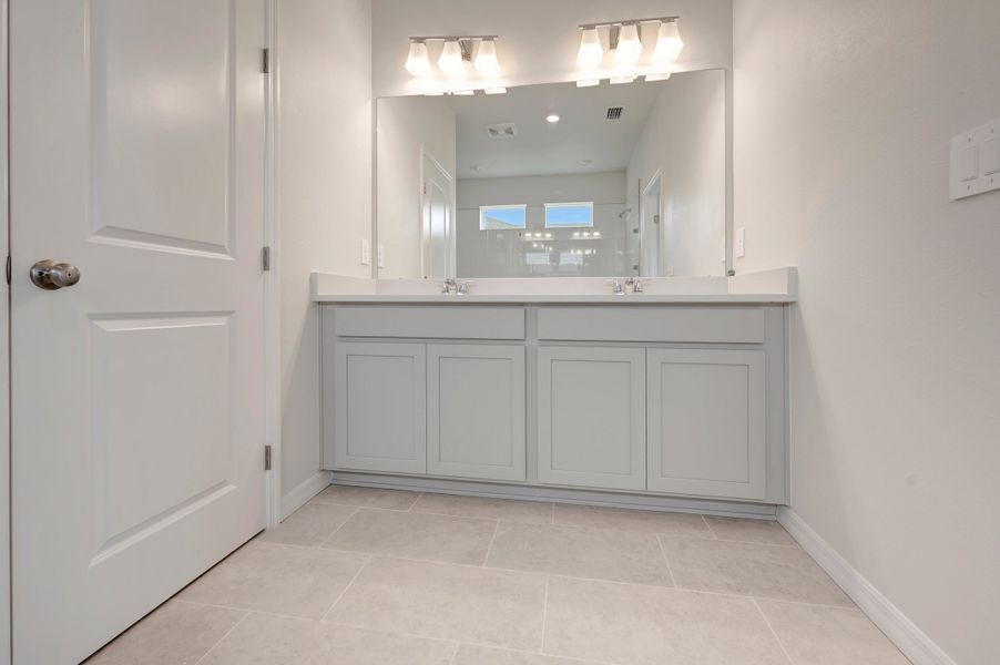 Owner's Bath