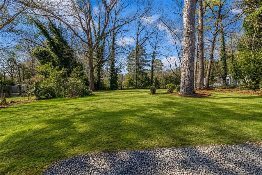 Natural landscape and outdoor views near  in Atlanta (Image 27).