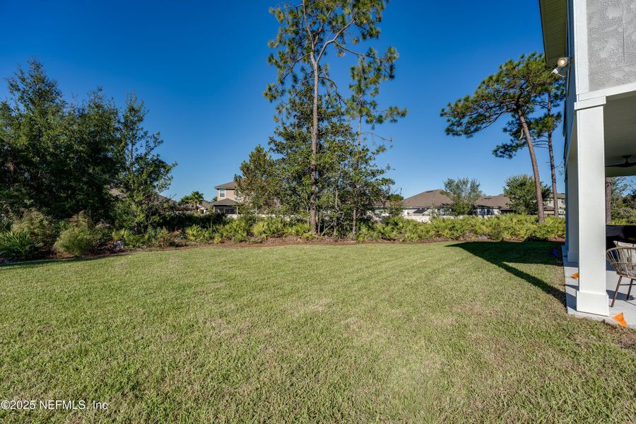 Natural landscape and outdoor views near  in Jacksonville (Image 44).