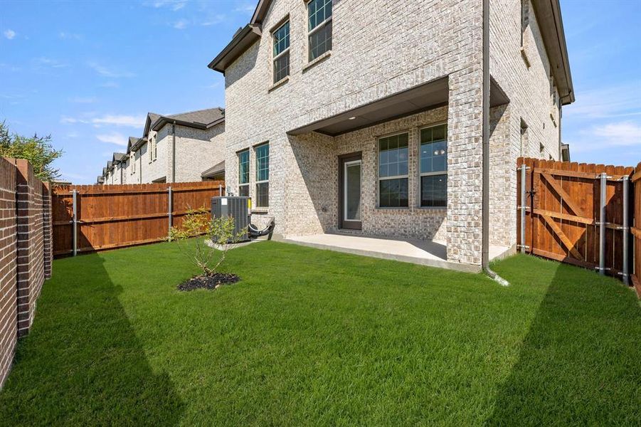 674 Sandiford-Back-2 674 Sandiford-Back-2