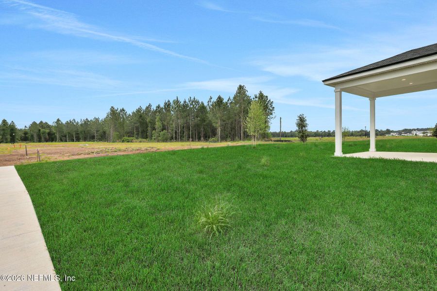 Exterior details and patio area of a home in Amberly, Green Cove Springs (Image 25).