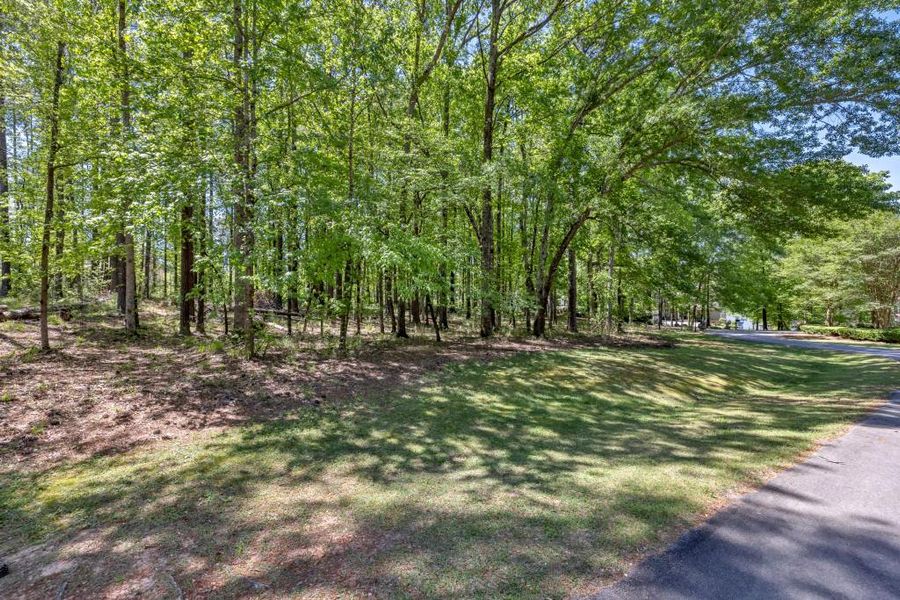 Natural landscape and outdoor views near  in Greensboro (Image 9).
