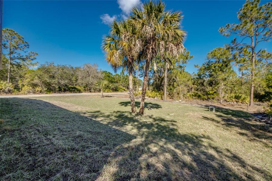 Natural landscape and outdoor views near in Lehigh Acres (Image 53). Natural landscape and outdoor views near in Lehigh Acres (Image 53).