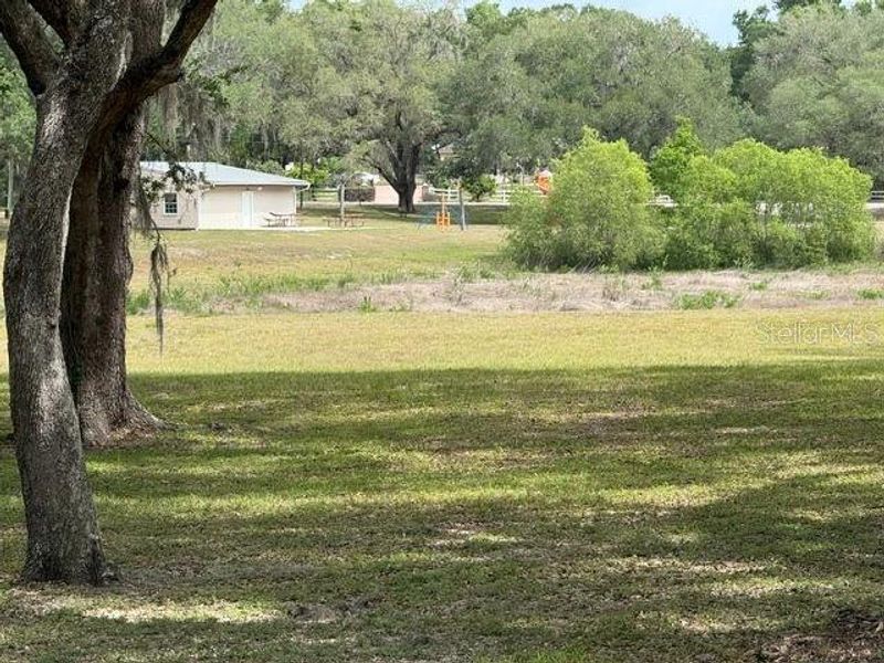 Natural landscape and outdoor views near in Dunnellon (Image 32). Natural landscape and outdoor views near in Dunnellon (Image 32).