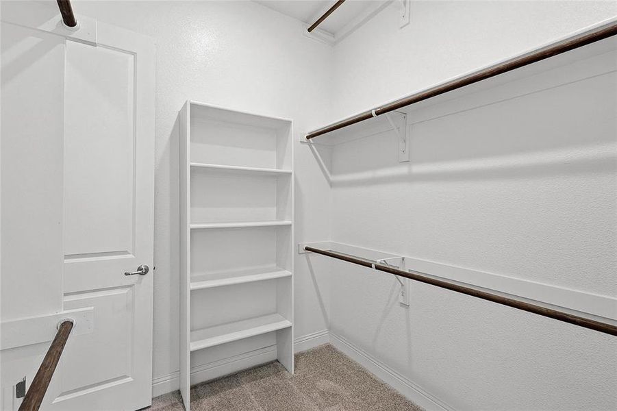 Spacious closet featuring light carpet