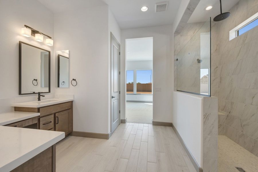Owner's Bath