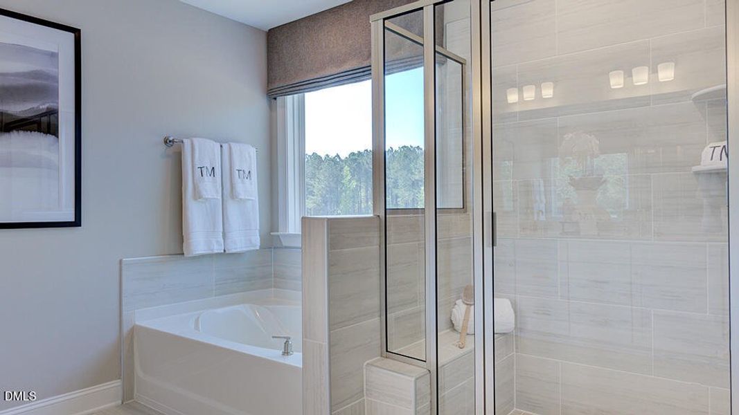 Wayland_22 Wayland_22