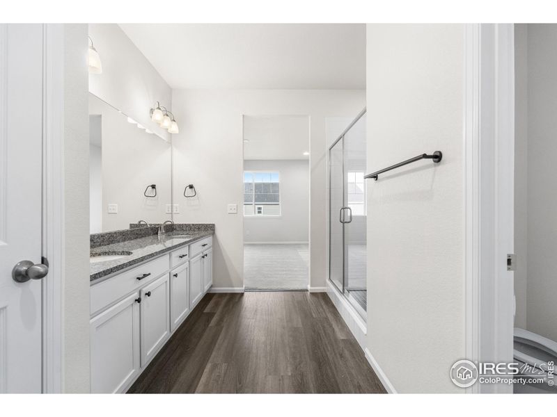 Main Level ensuite primary bathroom.