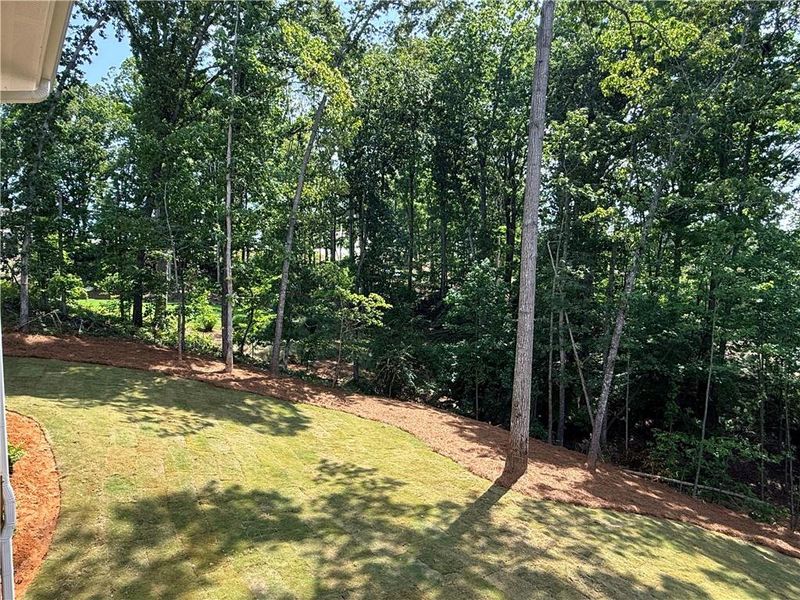 Natural landscape and outdoor views near in Flowery Branch (Image 40). Natural landscape and outdoor views near in Flowery Branch (Image 40).