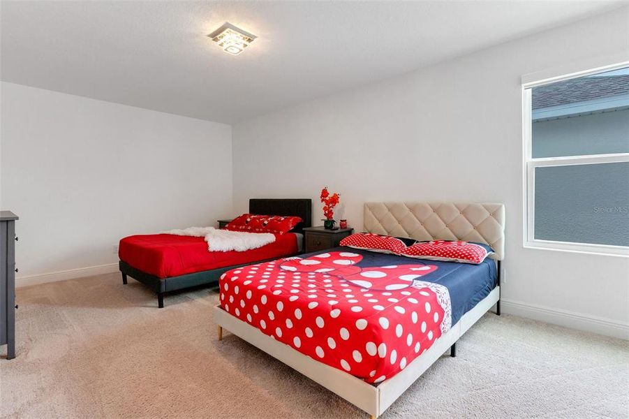 Furnished interior view inside a new home in , Clermont (Image 30).