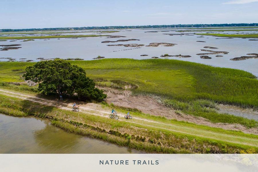 Natural landscape and outdoor views near  in Johns Island (Image 7).