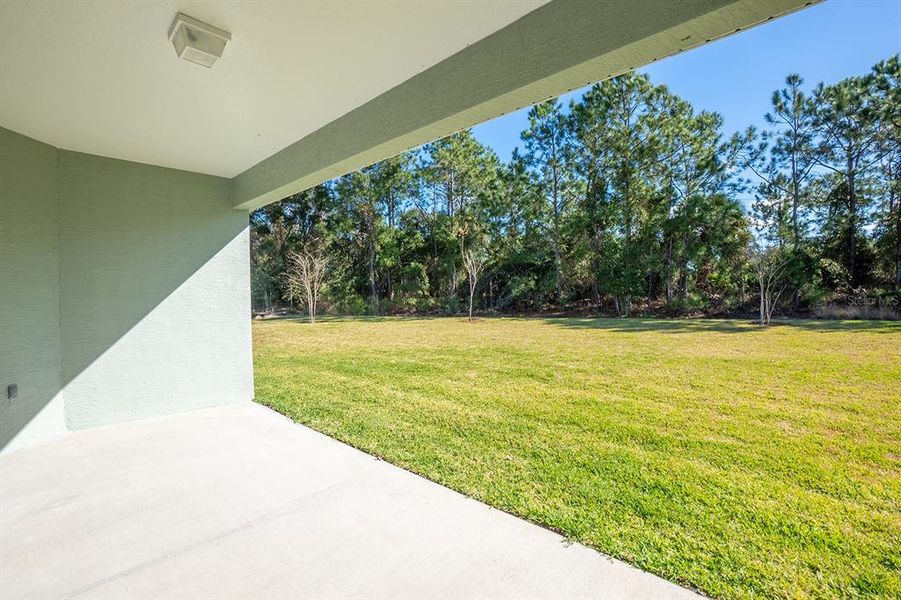 Exterior details and patio area of a home in , Palm Coast (Image 26).