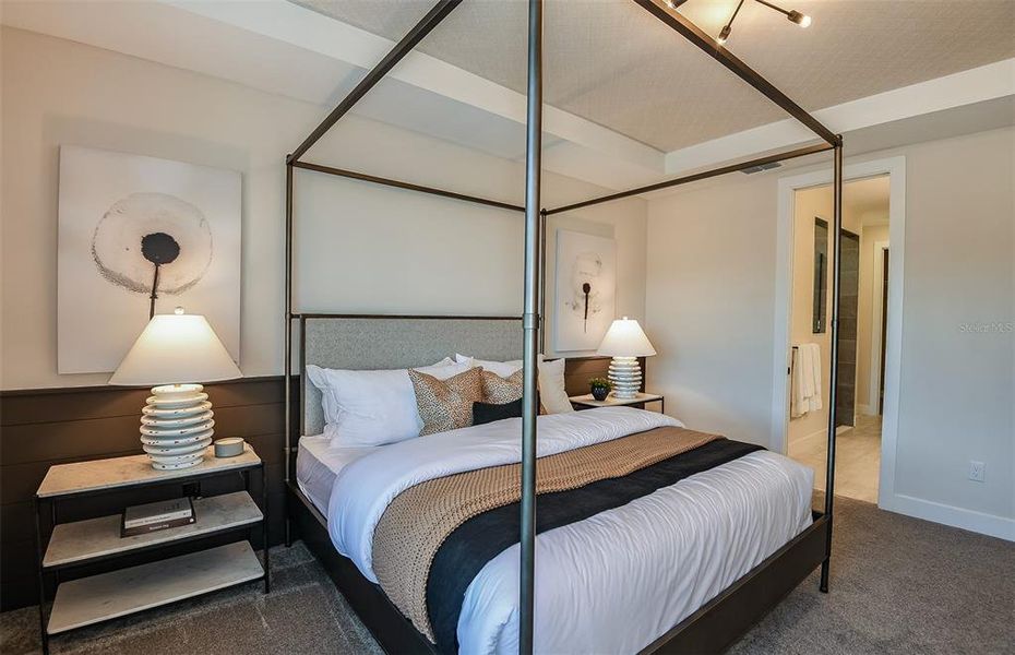 Model Representation