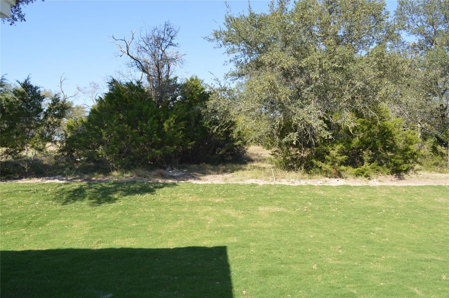 View of green lawn View of green lawn