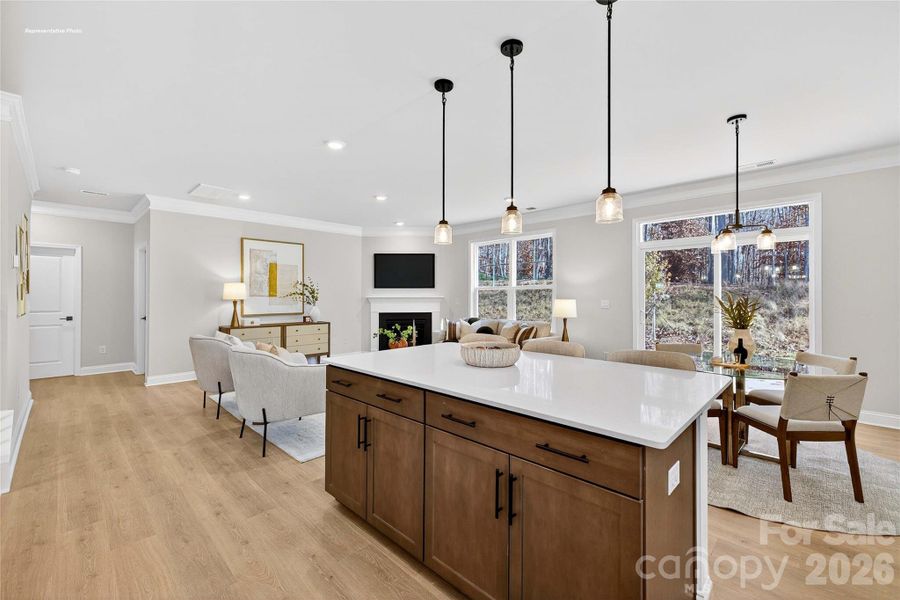 Furnished interior view inside a new home in Oak Grove Hill, Huntersville (Image 3).
