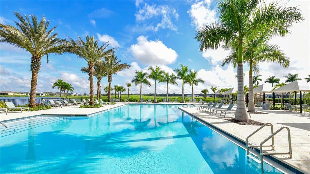 Community amenities in , Sarasota (Image 75).