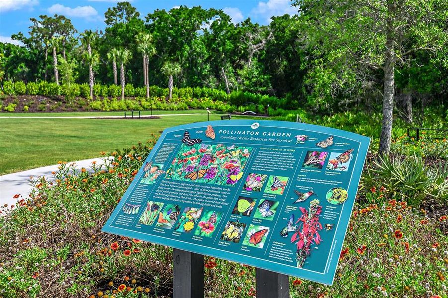 Community amenities in Esplanade at Azario Lakewood Ranch, Bradenton (Image 27).