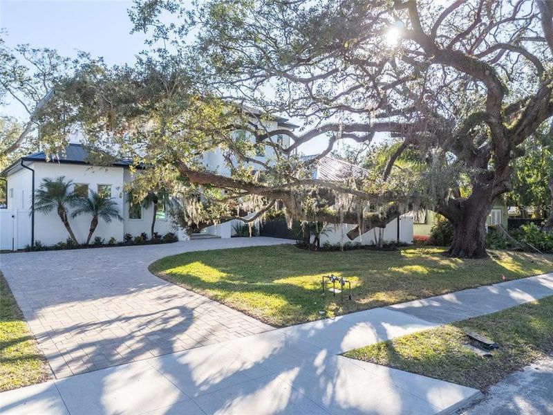 Natural landscape and outdoor views near  in Sarasota (Image 65).