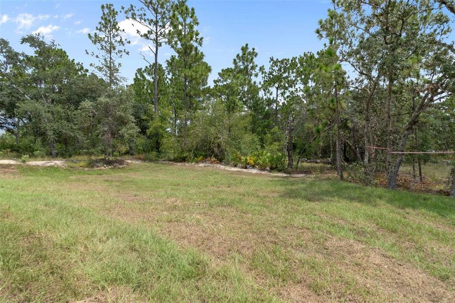 Natural landscape and outdoor views near  in Dunnellon (Image 45).