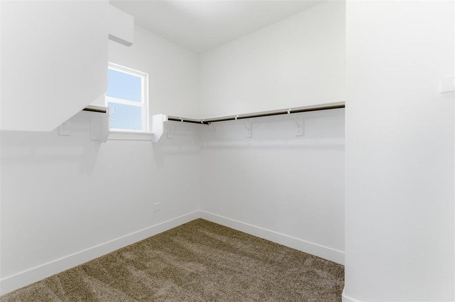 Walk in closet featuring dark colored carpet