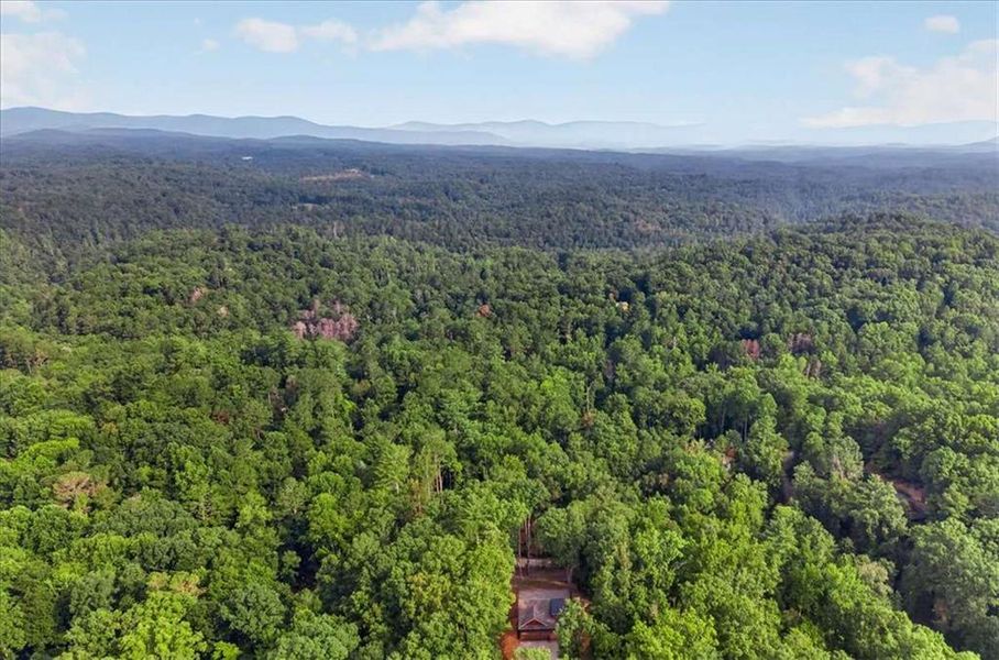 Natural landscape and outdoor views near  in Ellijay (Image 44).