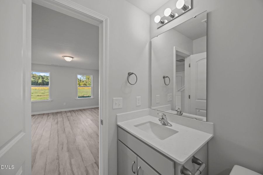 Downstairs Bath pic 2