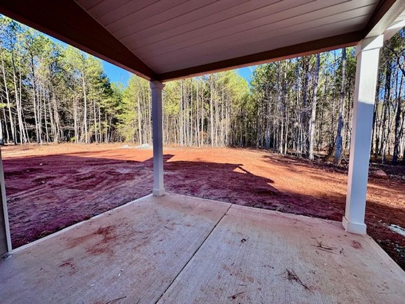Exterior details and patio area of a home in Forrest Farms, Greenville (Image 1).