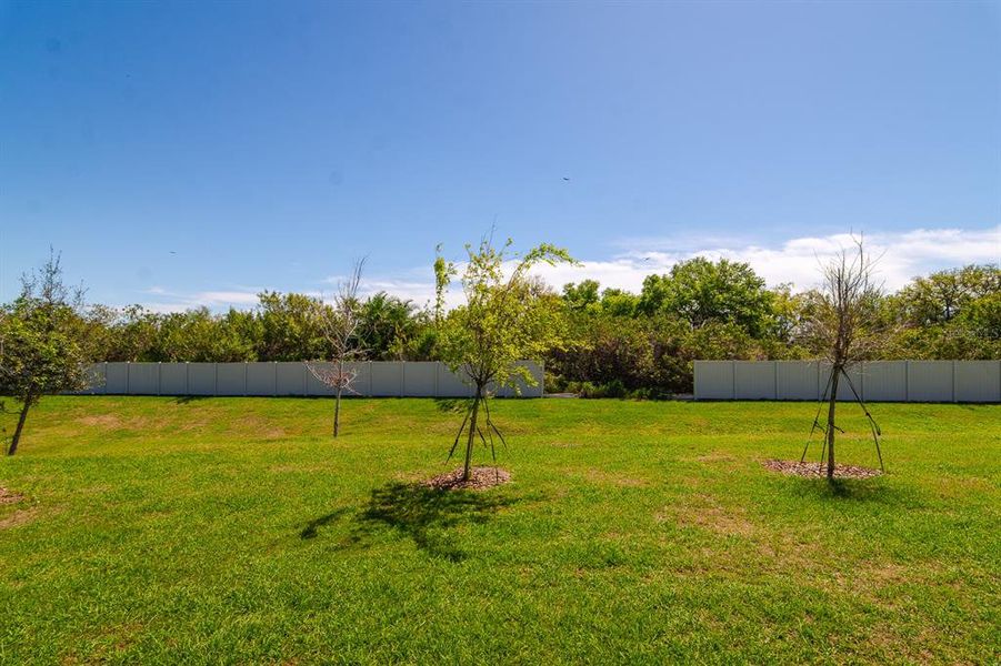 Natural landscape and outdoor views near  in Apollo Beach (Image 36).