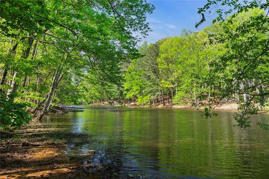 Natural landscape and outdoor views near  in Atlanta (Image 71).