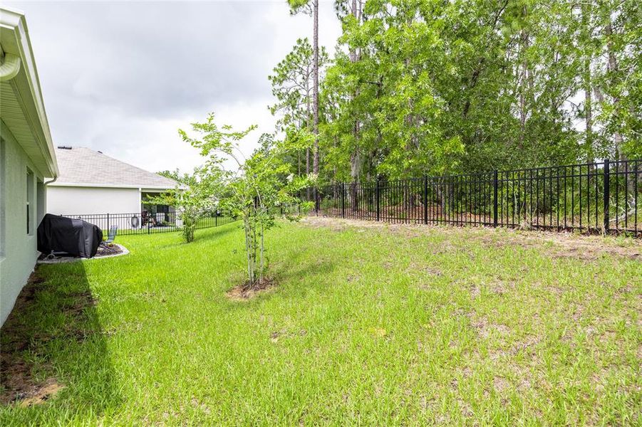 Image 43 of a home in Lake Diamond.
