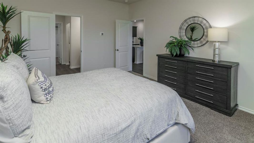 Neutral wall color, gray carpet flooring, and white trim throughout Neutral wall color, gray carpet flooring, and white trim throughout