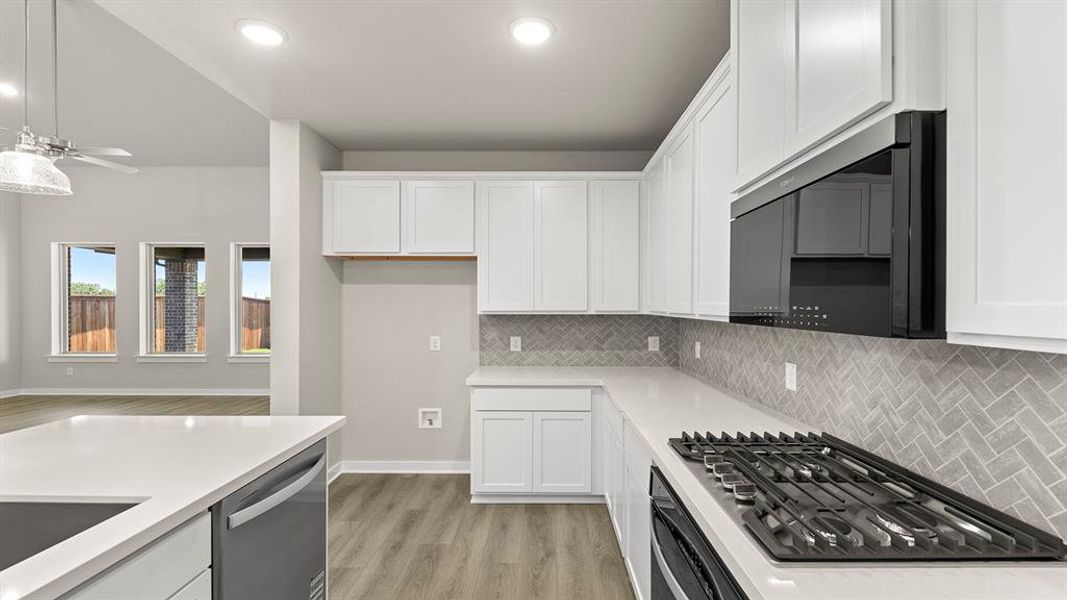 10. 1315 Burgess - Kitchen (3)