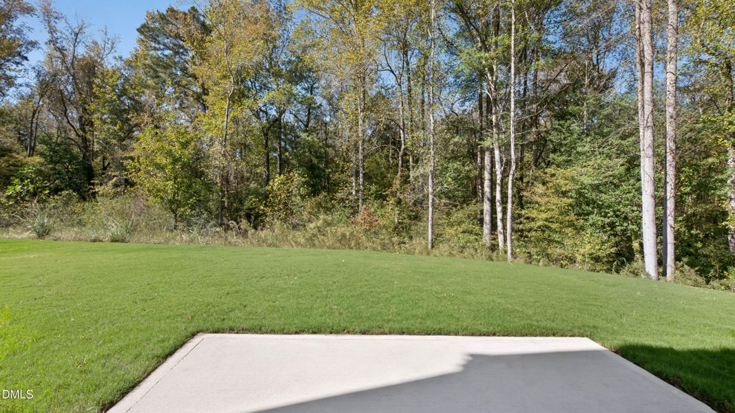 olive-branch-lot-99-004